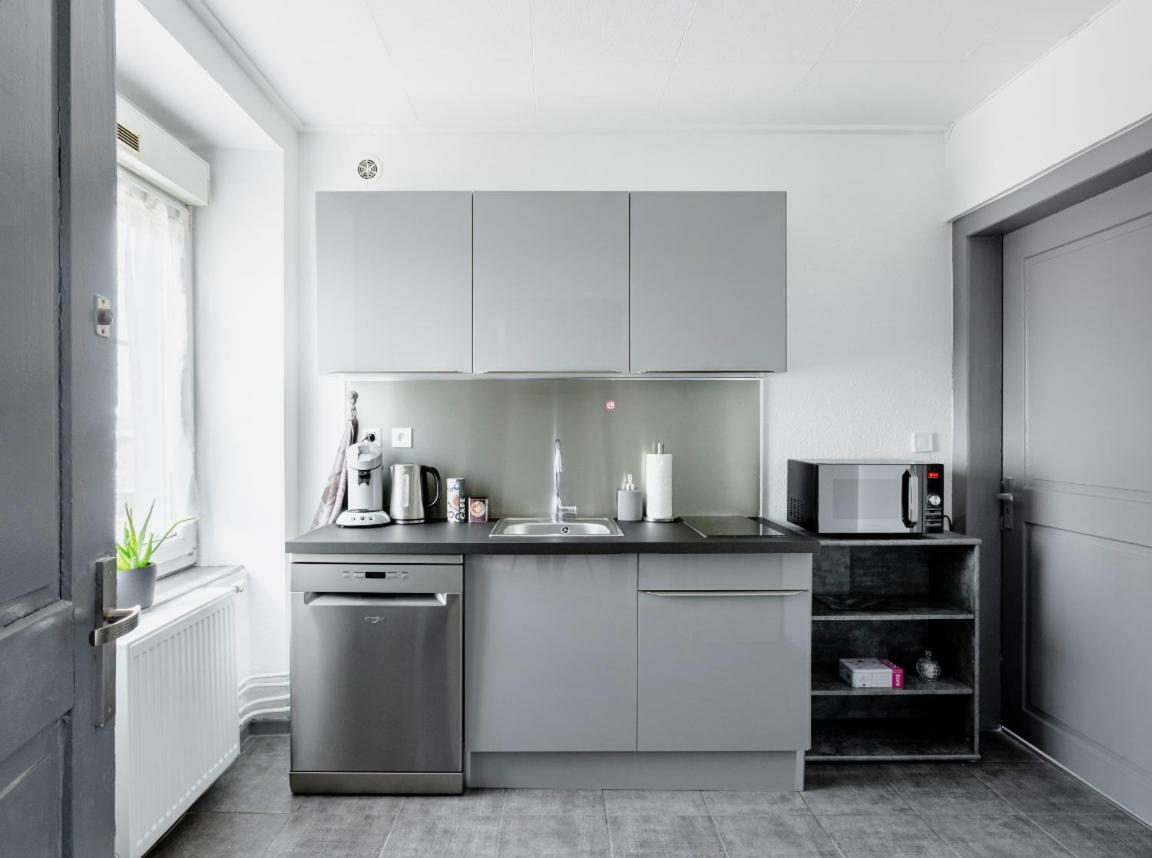 Comfort Stay Basel Airport 1B46 Сен-Луи Экстерьер фото
